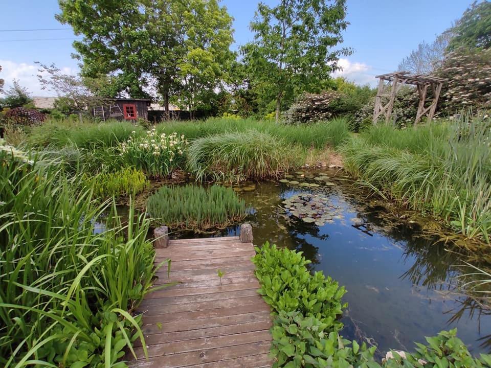 Cigogne Au Jardin De La Marquetterie 빌라 외부 사진