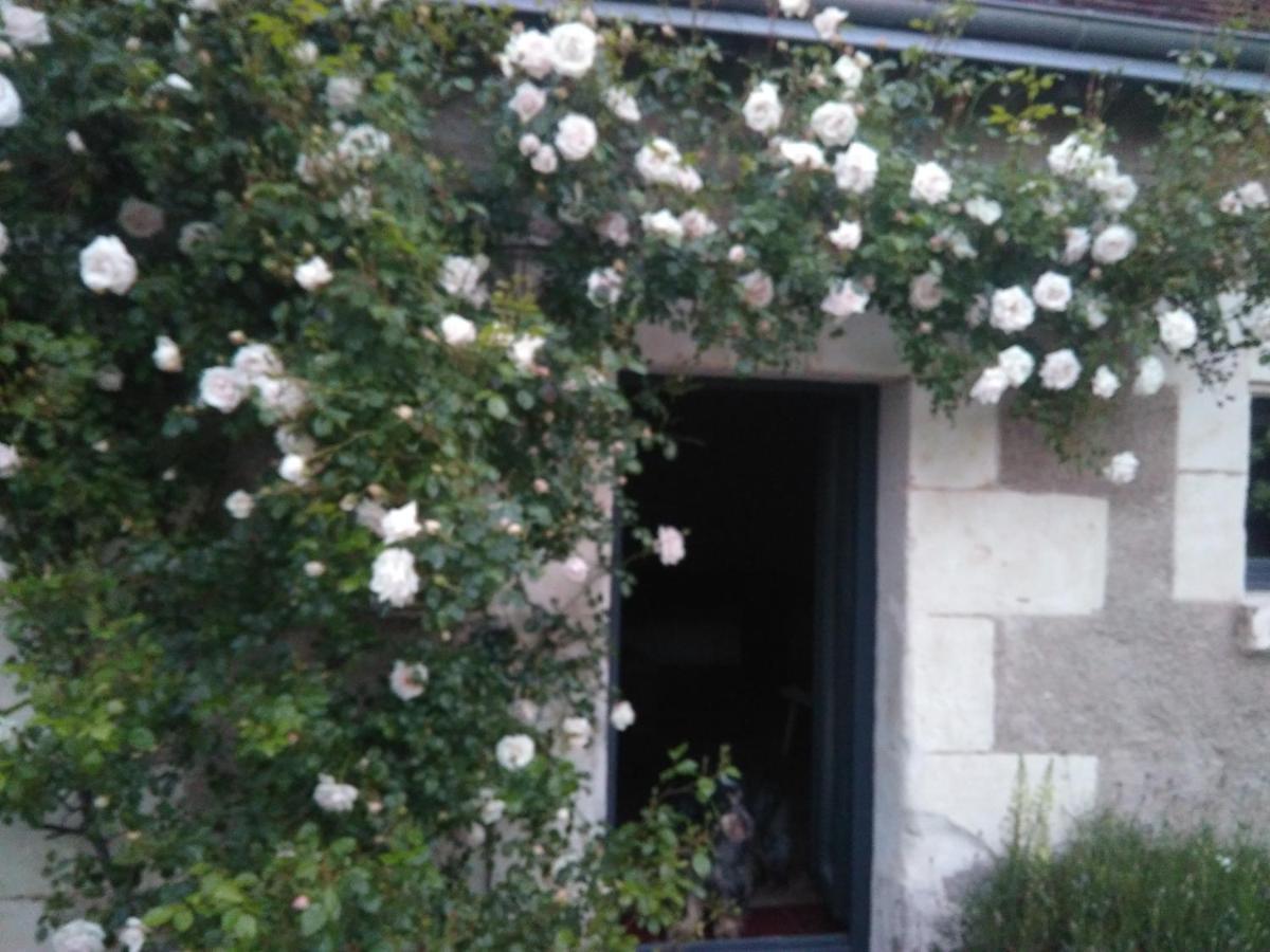 Cigogne Au Jardin De La Marquetterie 빌라 외부 사진