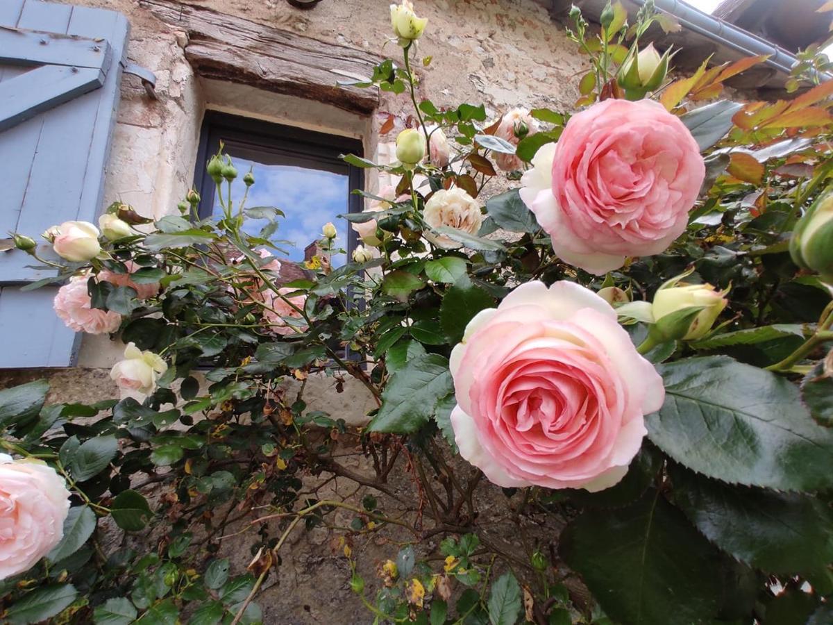 Cigogne Au Jardin De La Marquetterie 빌라 외부 사진