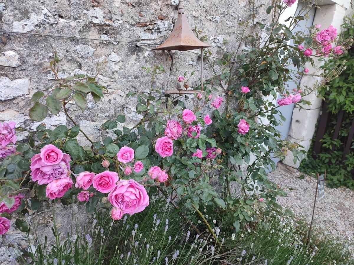 Cigogne Au Jardin De La Marquetterie 빌라 외부 사진